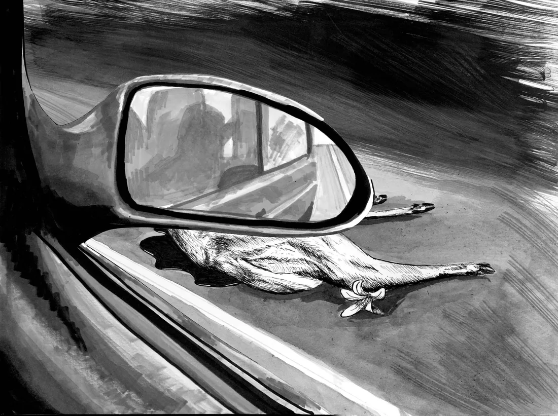 Ink illustration of a deer reflected in a car's side mirror.