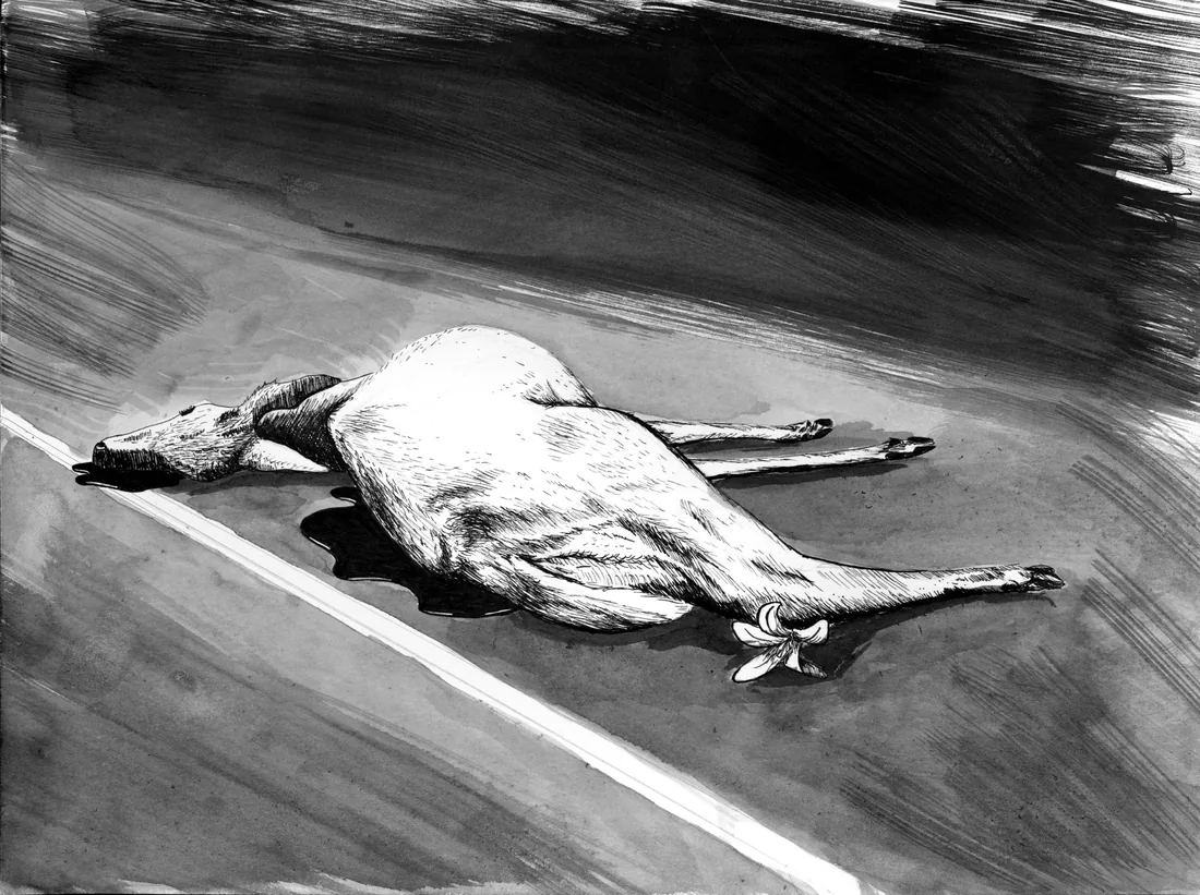 Ink illustration of a deer lying on a road with a flower.