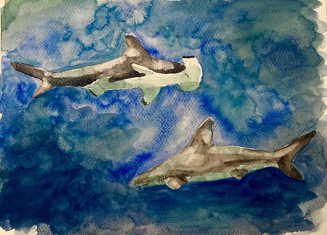 Watercolor of a hammerhead shark and a reef shark swimming in blue water.