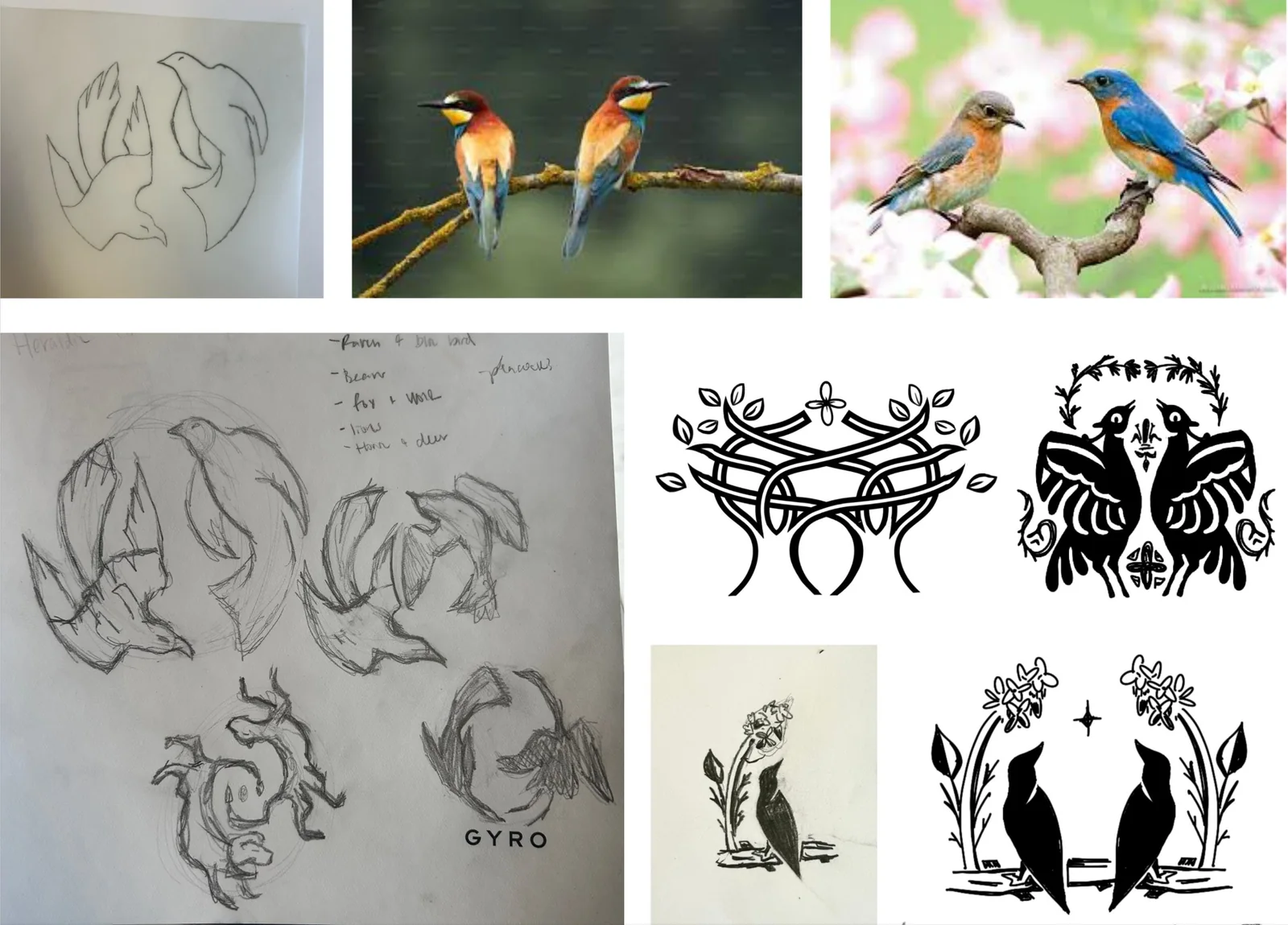 Little Wren development: hand sketches of two facing birds, reference photos of colorful paired birds, and heraldic-style symmetrical bird-and-branch logo studies in black ink.